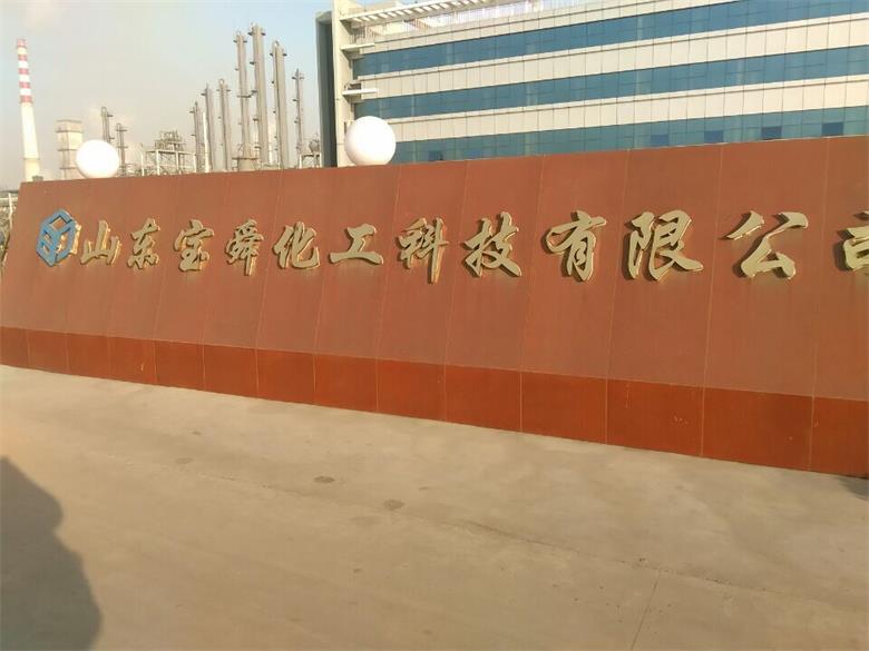 定陶山東寶舜化工科技有限公司