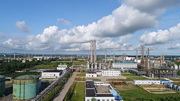 湖北雷達(dá)物位計(jì)出現(xiàn)誤差原因及解決方法